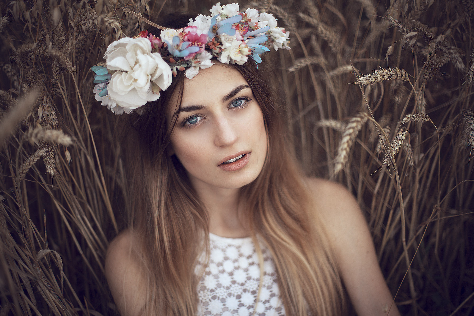 Canon 5d Mark II - 50mm - 1.4 - 1/800s - ISO100